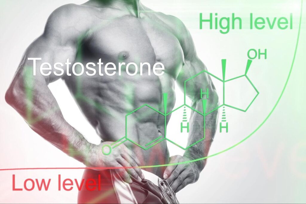 Testosterone Replacement Therapy TRT 1024x683